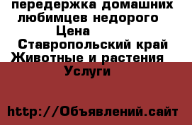 передержка домашних любимцев недорого › Цена ­ 250 - Ставропольский край Животные и растения » Услуги   